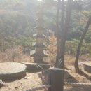 이용대체육관 Daum카페