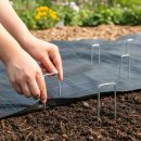 애완상회 이미지