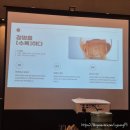 미미요거트 | 삼각지 미미본관 x 다농바이오: 청명절에 즐긴 충주의 맛, '청명의 수록' 페어링 런치 후기