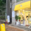 까까앤독 네이버블로그