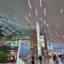 여주온천화장실 | 1일차 | 대한항공 기내식, 머큐어 오사카, 간사이조이패스 추천코스, 덴노지 미오 스시 맛집, 소라니와온천