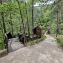 삼척활기자연휴양림 이미지