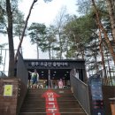 UR(원주시)-[신지정로]-하-10 | 강원도 원주 소금산 출렁다리 그랜드밸리 - 입장료 주차장 시간(feat. 출렁이는 재미와 짜릿한 스릴!)