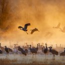 나의 사계 이미지