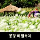 봉평메밀꽃축제 이효석 문학관 가을 가볼만한곳 이미지