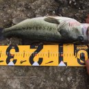 적봉리마을회관 이미지