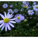 니랑나랑 이미지