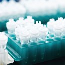 의료법인 삼광의료재단 이미지