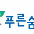 푸른도시개발 머니투데이