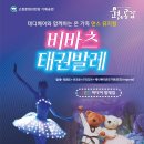 비바츠LED 태권발레 이미지