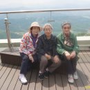 석곡(분회) Daum카페