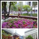 4월29일 수요일 기타의 낭만이 있는 'Spring Concent' 이미지