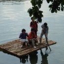 숲속의 하루 이미지