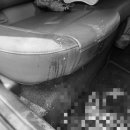 심곡그린손세차장 이미지