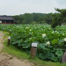 마당식당 이미지