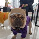 서수원동물병원 이미지