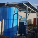 감귤바