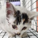 연기119지역대 이미지