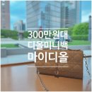 마이디올 미니백 2년 실사용 후기 / 착샷포함