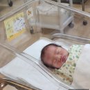 [38주] 임산부의 일상일 줄 알았는데 갑작스런 출산기록 (38w+2d 초산부의 급속분만)
