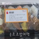 속초초밥여행