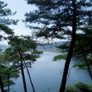 안동세월교 이미지