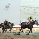 마임여서지사 서울경제TV