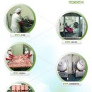 황제오리 이미지