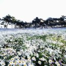 정읍반찬 이미지