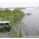 서검낚시터 이미지