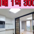 숲안타워공인중개사사무소 이미지