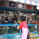 어시장횟집 이미지