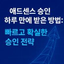 애드센스 승인 하루만에 받은 방법: 빠르고 확실한 승인 전략 (실제 후기)