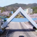 순천제일대학교 이미지