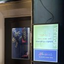 [잠실새내 속눈썹펌] 래쉬하루 스칼피아, 여행 전 필수템! 자연스럽고 편한 펌 후기