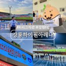 (주)현대종합건재 | 강릉종합운동장 강릉하이원아레나 강원FC 원정 축구 직관 후기