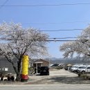 진희네 농장 이미지