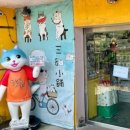 고양이 마을 이미지