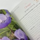 힐링 플라워테라피 이미지