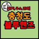 현대자동차 계룡금암점 티스토리