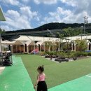 (주)해밀리아