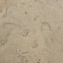 남대천약국 이미지