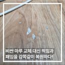 마루 | 목동 마루 찍힘 복원, 감쪽같은 마루 보수 후기