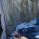 달전골프클럽 | 여러가지 파크골프 용품 알아보기 가방 채 공 파우치 등