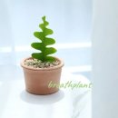 브리스 플랜트