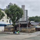 열녀 나주나씨 정려 | 나씨 삼강문