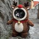 아이센스PC방 잠실본점 | 눈떠보니 한살 더 먹어버린 응애등장🍼 (feat.송리단길, 스몹)