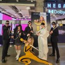 대상빌 | [킬 빌: 더 홀 블러디 어페어] 드디어 완전판 상영! 코스프레 시사회 후기