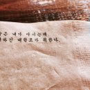 대학로에취하다 이미지