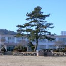 평동초등학교 이미지